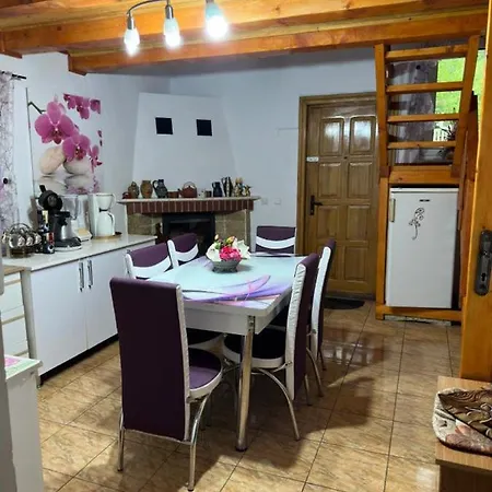 Nyaraló Sara *